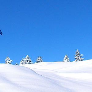 Wintersport